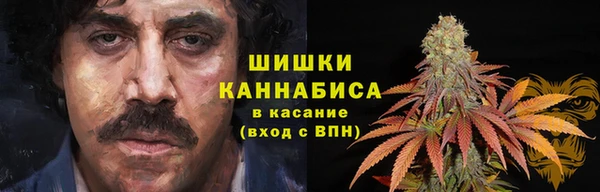 таблы Пересвет