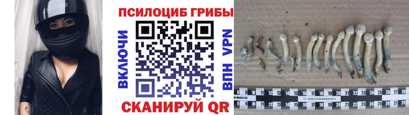 Купить закладки  Когалым  Псилоцибиновые грибы ЛСД 